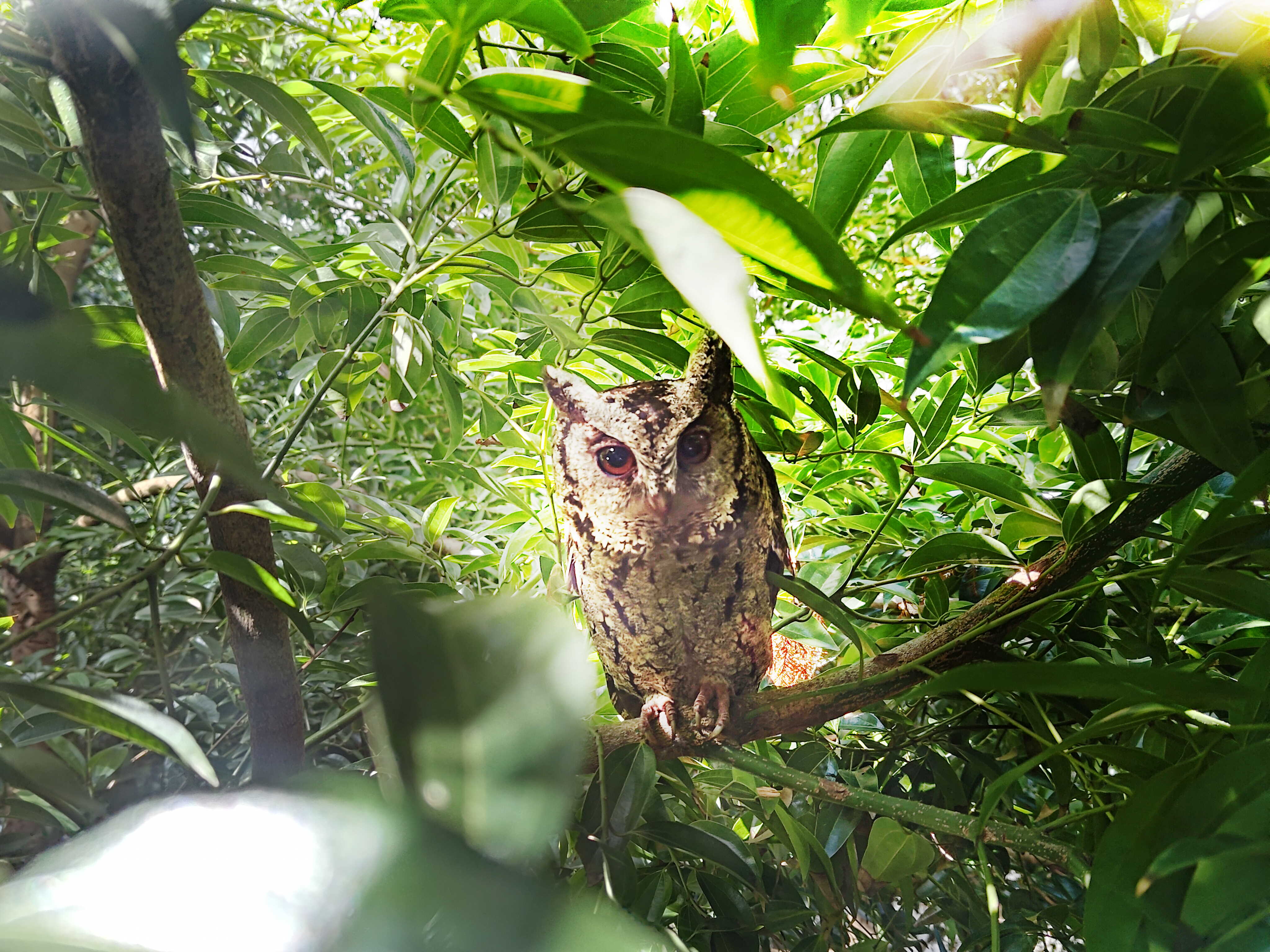 LEYU�پW�����ᳫ����G���16���ԁ���ȫ����S�^(q��)ֲ������f�ã���͸��S�^(q��)��ľεȻ���֣��q��ɭ�ֹ��S���ɞ��S������ė�Ϣ��